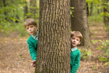 Portrait of a boy on a background of green natureの写真素材