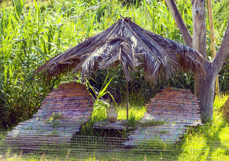 Sunbeds and umbrellas made of branches and leaves of bambooの写真素材