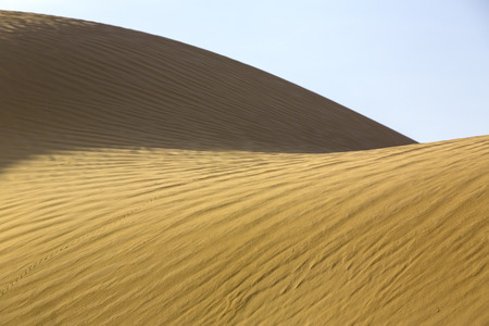 sahara desertの写真素材