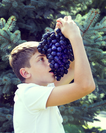 boy eating blue grapes in natureの写真素材