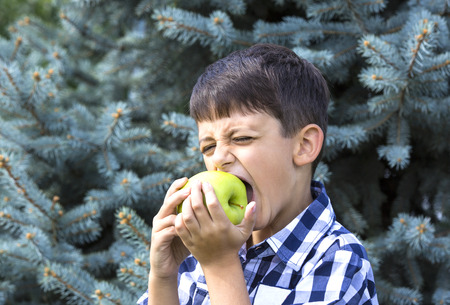boy eating large juicy green apple