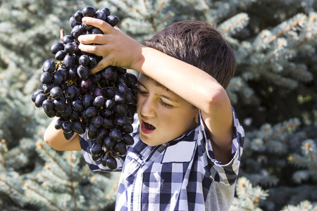 boy eating blue grapes in natureの写真素材