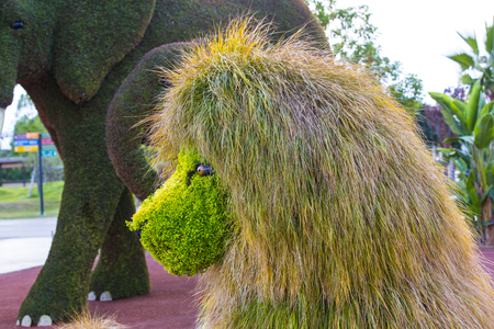 Antalya, Turkey - 5, OCT, 2016. Statues Animals Insects and humans made from plants and herbs. Botanic Expo 2016. Turkey - 2016のeditorial素材