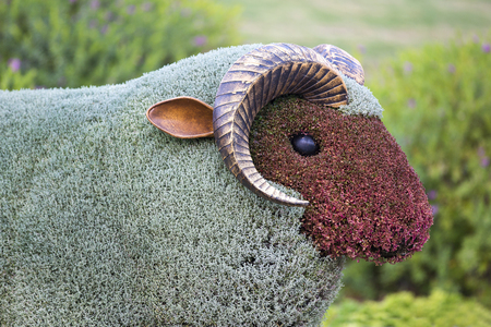 Antalya, Turkey - 5, OCT, 2016. Statues Animals Insects and humans made from plants and herbs. Botanic Expo 2016. Turkey - 2016のeditorial素材