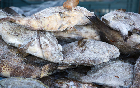 Frozen sea fish mackerel on market perch