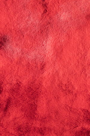 Texture of fur of fur-bearing animalsの写真素材