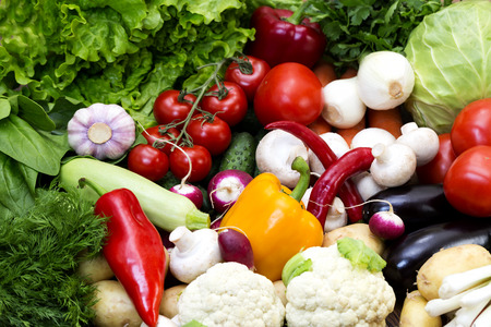 Fresh vegetables tomatoes cucumber squash and greens background close-upの写真素材