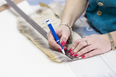 Workflow and making the animals fur patternsの写真素材