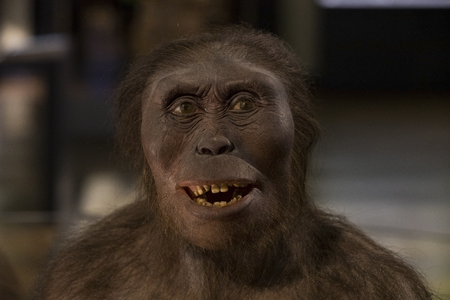 VIENNA, AUSTRIA 23 AUGUST 2017,: Exhibits and expositions in the Museum of Natural History, Vienna.のeditorial素材