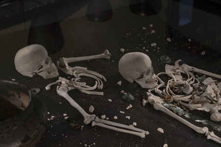 VIENNA, AUSTRIA 23 AUGUST 2017,: Exhibits and expositions in the Museum of Natural History, Vienna.のeditorial素材