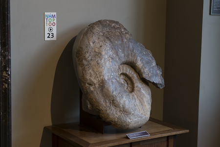 VIENNA, AUSTRIA 23 AUGUST 2017,: Exhibits and expositions in the Museum of Natural History, Vienna.のeditorial素材