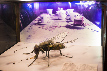 VIENNA, AUSTRIA - 23 AUGUST 2017: Exhibits and expositions in the Museum of Natural History, Vienna.のeditorial素材