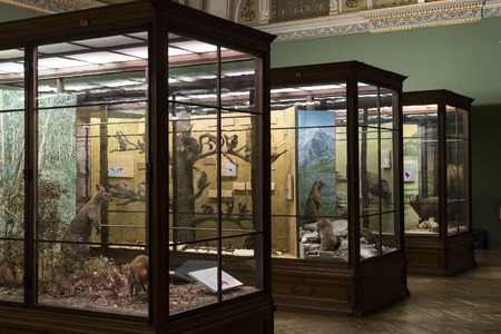 VIENNA, AUSTRIA - 23 AUGUST 2017: Exhibits and expositions in the Museum of Natural History, Vienna.のeditorial素材