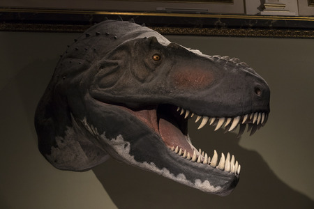 VIENNA, AUSTRIA - 23 AUGUST 2017: Exhibits and expositions in the Museum of Natural History, Vienna.のeditorial素材