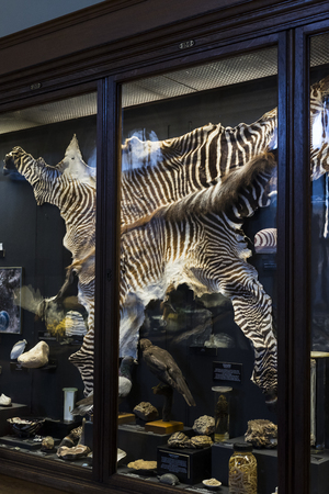 VIENNA, AUSTRIA - 23 AUGUST 2017: Exhibits and expositions in the Museum of Natural History, Vienna.のeditorial素材