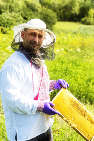 A man works in an apiary collecting bee honeyの写真素材