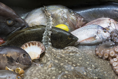 Background of fresh seafood fish clams crabs