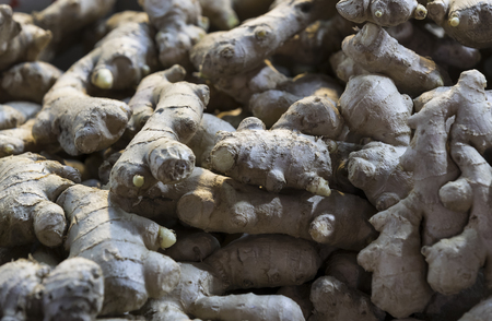 Ginger root juicy ripe shot closeup backgroundの写真素材