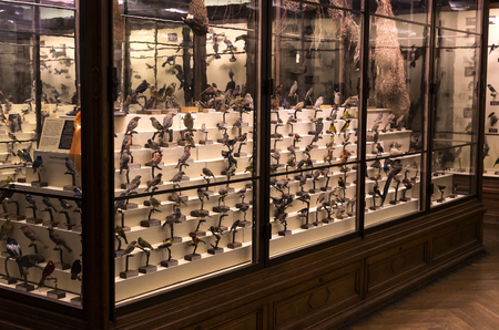 23 AUGUST 2017, VIENNA, AUSTRIA: Exhibits and expositions in the Museum of Natural History, Vienna.のeditorial素材