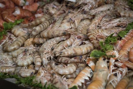Background of fish, shrimp clams in the markets of Milan in Italy.の写真素材