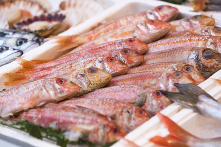Background of fish, shrimp clams in the markets of Milan in Italy.の写真素材