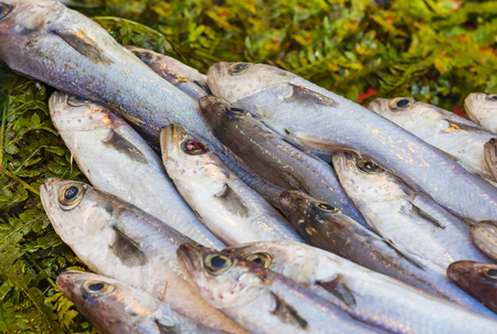 Fresh sea fish in the Turkish market in Istanbul.の写真素材
