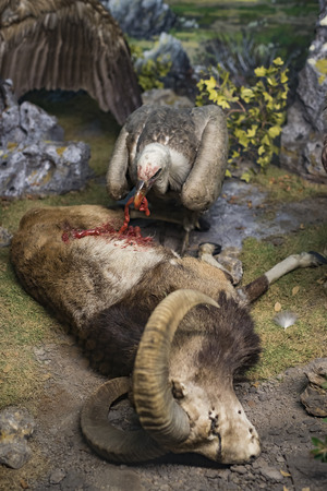 7 JUNE 2018, MILAN, ITALY: Expositions from the animal world placed in the Museum of Natural History in Milan.のeditorial素材