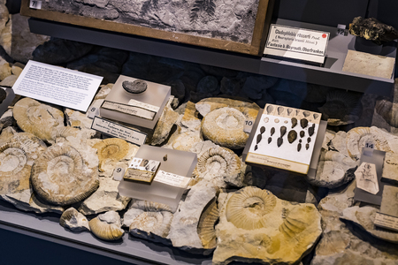 MUNICH, GERMANY - NOVEMBER 27, 2018: Exhibits of the Anthropological Museum.のeditorial素材