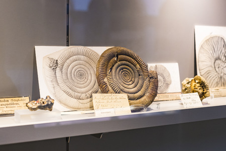 MUNICH, GERMANY - NOVEMBER 27, 2018: Exhibits of the Anthropological Museum.のeditorial素材