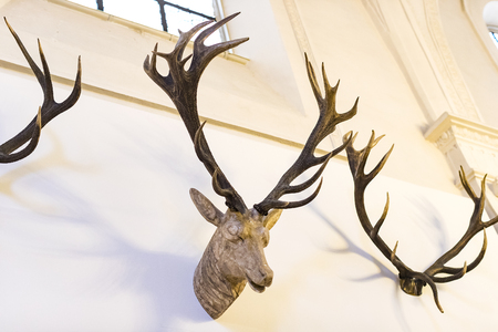 MUNICH, GERMANY - NOVEMBER 24, 2018: MUNICH, GERMANY - NOVEMBER 24, 2018のeditorial素材