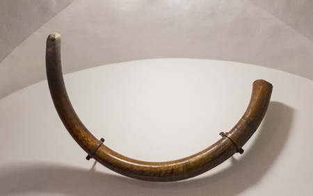 MUNICH, GERMANY - NOVEMBER 24, 2018: MUNICH, GERMANY - NOVEMBER 24, 2018のeditorial素材