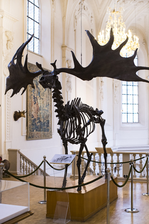 MUNICH, GERMANY - NOVEMBER 24, 2018: MUNICH, GERMANY - NOVEMBER 24, 2018のeditorial素材