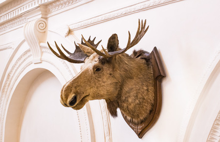 MUNICH, GERMANY - NOVEMBER 24, 2018: MUNICH, GERMANY - NOVEMBER 24, 2018のeditorial素材