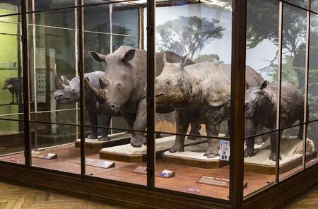 3 SEPTEMBER 2018, VIENNA, AUSTRIA: The Museum of Natural History composes stuffed animals, fish, mammalian birds and reptiles.のeditorial素材