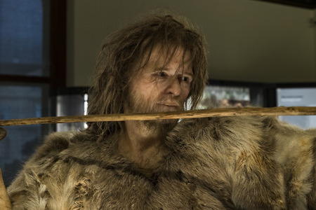 3 SEPTEMBER 2018, VIENNA, AUSTRIA: The Museum of Natural History composes stuffed animals, fish, mammalian birds and reptiles.のeditorial素材