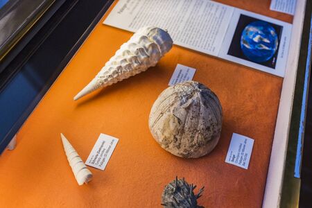 MUNICH, GERMANY - NOVEMBER 27, 2018: Exhibits of the Anthropological Museum.のeditorial素材