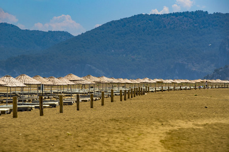 Deserted sandy beach with umbrellas and sun loungersの写真素材
