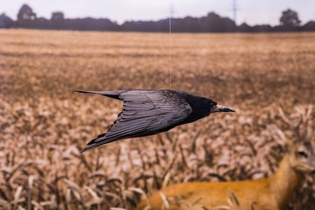 MUNICH, GERMANY - NOVEMBER 24, 2018: MUNICH, GERMANY - NOVEMBER 24, 2018のeditorial素材