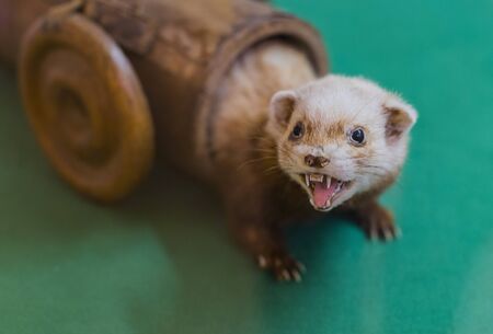 MUNICH, GERMANY - NOVEMBER 24, 2018: MUNICH, GERMANY - NOVEMBER 24, 2018のeditorial素材