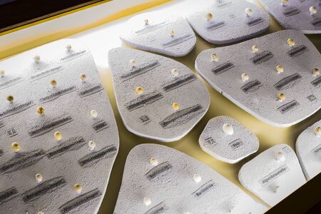 3 SEPTEMBER 2018, VIENNA, AUSTRIA: The Museum of Natural History composes stuffed animals, fish, mammalian birds and reptiles.のeditorial素材