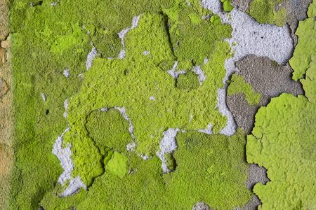 Colorful background painted on the wall brushの写真素材