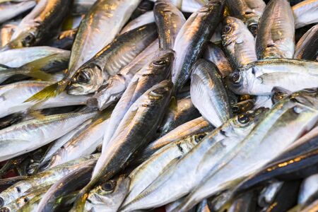 Sea fish  at the fish market close-up.の写真素材