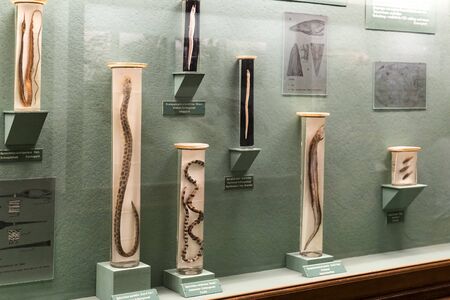 3 AUGUST 2017, VIENNA, AUSTRIA: Exhibits and expositions in the Museum of Natural History, Vienna.