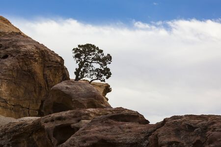 Ancient abandoned rock city of Petra in Jordan tourist attractionの写真素材