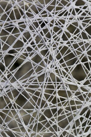 Background of interlacing ropes of white color shot close up.の写真素材