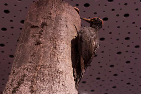 MUNICH, GERMANY - NOVEMBER 24, 2018: MUNICH, GERMANY - NOVEMBER 24, 2018のeditorial素材