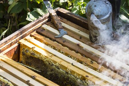 The bee hive is shot close-up in the summer on an apiary, countryside.の写真素材