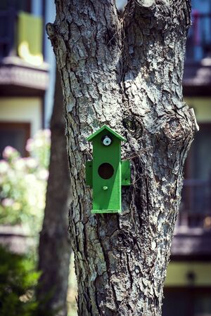 Wooden birdhouse on a tree trunk in the park.の写真素材