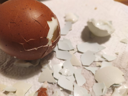 small eggshells on a napkin and next to it a brown boiled chicken egg, which began to breakの写真素材