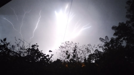 The sky above the dark trees is illuminated by strong lightning in the eveningの写真素材